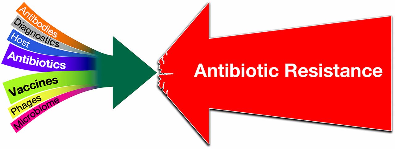 Integrated global strategy to combat antimicrobial resistance efficiently